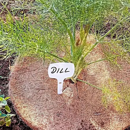 Prázdninový dům Vacation Mirasole *