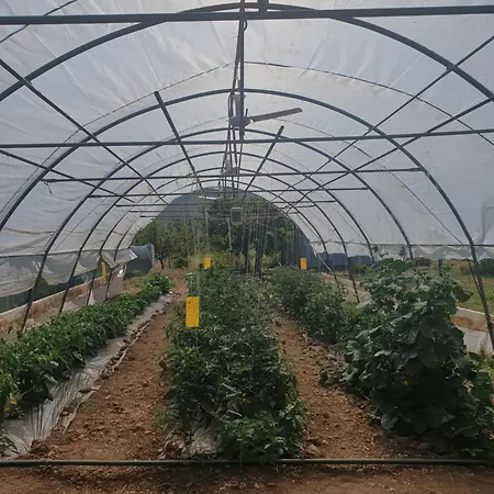 Vacation Mirasole Dom wakacyjny Mostar