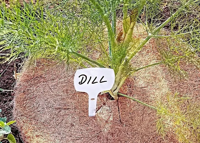 Feriehus Vacation Mirasole *